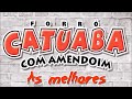 Forró Catuaba Com Amendoim - As Melhores