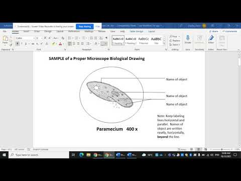 Virtual Microscope lab instructions part 1