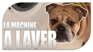 ALBERT - LA MACHINE A LAVER