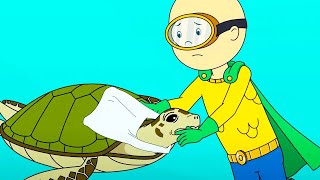 Caillou Sauve Les Tortues Caillou En Français