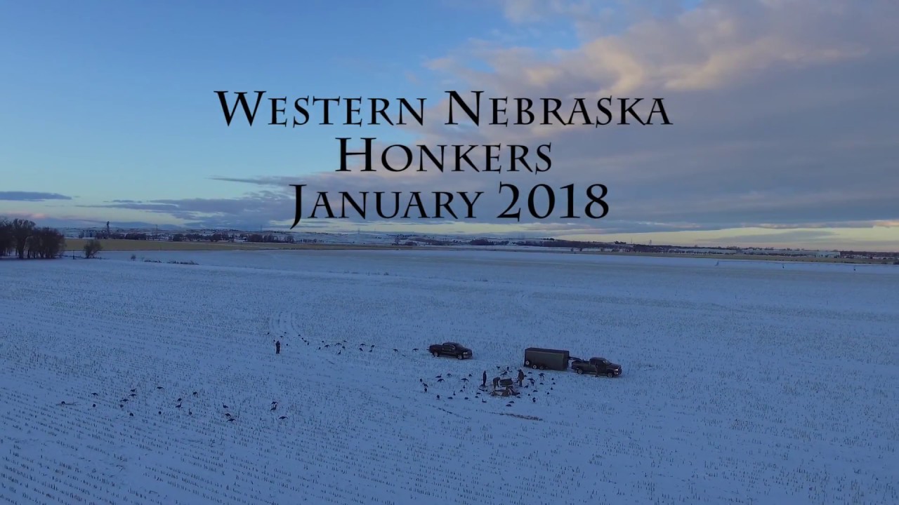 Goose Hunting Nebraska January 2018 YouTube