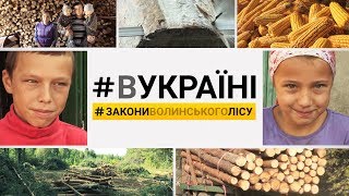 Закони волинського лісу | #ВУКРАЇНІ