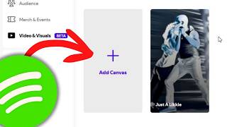 Spotify Canvas Setup | Pre-Release Checklist for Artists