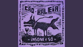 Video thumbnail of "Cão Baleia - Insone e Só #1"