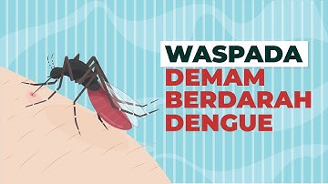 Waspada Demam Berdarah Dengue (DBD)