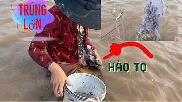VLTV-  GIĂNG LƯỚI CÁ BÓNG SAO TRÚNG LỚN