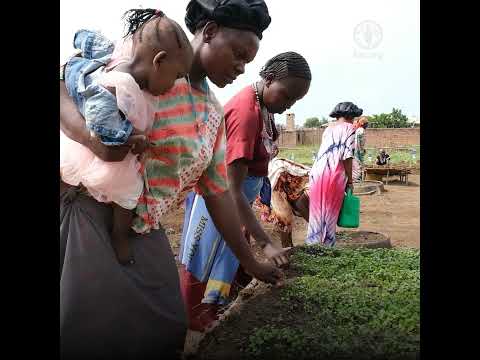 In South Sudan FAO supports women farmers and entrepreneurs to boost capacities and livelihoods