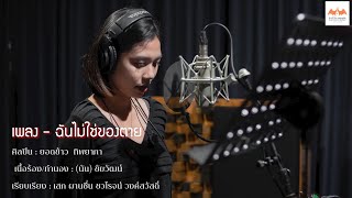 เพลง ฉันไม่ใช่ของตาย ศิลปิน(ยอดข้าว)ทิพยาภา OFFICAIL AUDIO