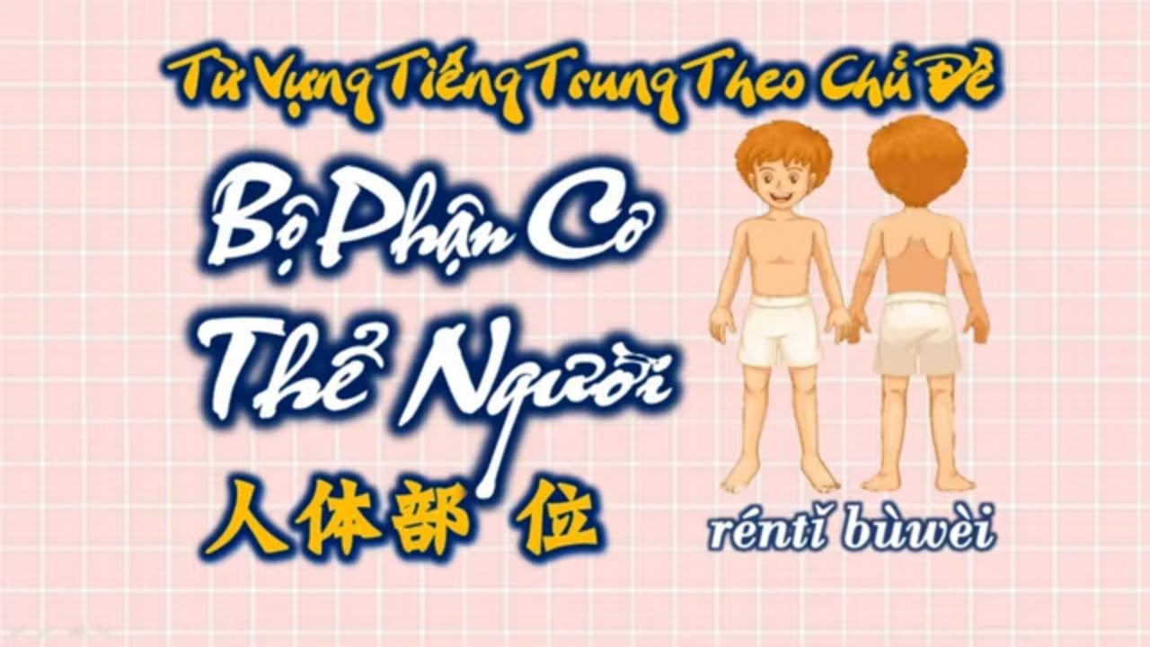 Học tiếng trung theo chủ đề | Học Tiếng Trung Theo Chủ Đề | Bộ Phận Cơ Thể Người  | Giáo Viên Người Hoa Đọc | HVTG