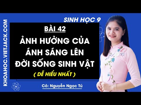 Video Sinh học 9 - Bài 42 - Ảnh hưởng của ánh sáng lên đời... - youtube