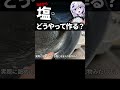 海水から日本天然塩を作ってみた Salt was made from Japanese seawater. #shorts