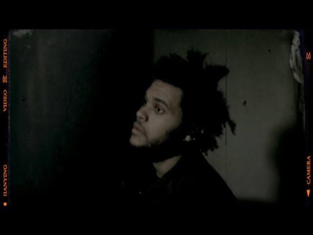 The Weeknd - What You Need (Unreleased Version)