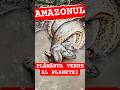 👉 Amazonul – plămânul verde al planetei 🌳🌊