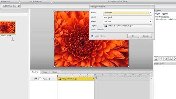 Articulate Storyline tutorial: How to add animated transitions to slide layers