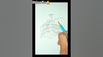 Drawing a tree (weeping willow) 😭 #art #drawing #shorts