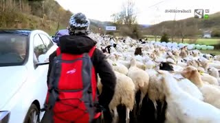 La cabañera discurre por la carretera | UN HOTEL DE MIL ESTRELLAS 03