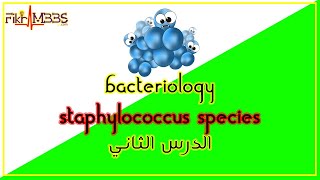 الدرس الثاني: المكورات العنقودية | Staphylococcus Species