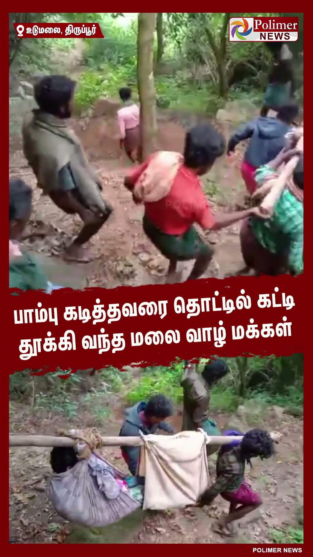 பாம்பு கடித்தவரை தொட்டில் கட்டி தூக்கி வந்த மலை வாழ் மக்கள்..!! #shorts | #snake