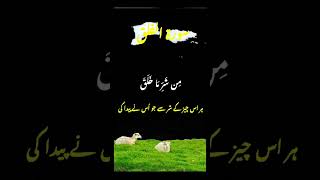 Download Lagu 📖 Tilawat e Quran | Recitation by Qari Saad Al-Ghamdi MP3 Download Lagu 📖 Tilawat e Quran | Recitation by Qari Saad Al-Ghamdi MP3