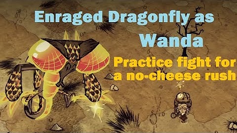 Enraged Dragonfly as Wanda without Ruins Gear (DST)
