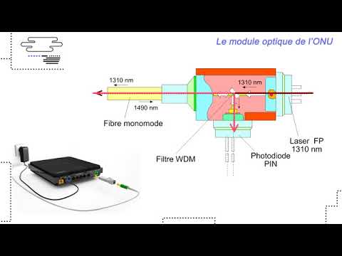 Les réseaux FTTH  /Leçon 5 : Quels sont les composants actifs et budget d'un réseau GPON?