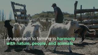 Download Lagu Regenerative Fund for Nature - KERING MP3 Download Lagu Regenerative Fund for Nature - KERING MP3