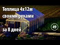 [49] Теплица по Митлайдеру 4х12м, вся стройка за 8 дней, цена вопроса. Делал впервые