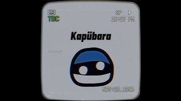 Capybara in different languages #viral #geography #countryballs #poland #ukraine