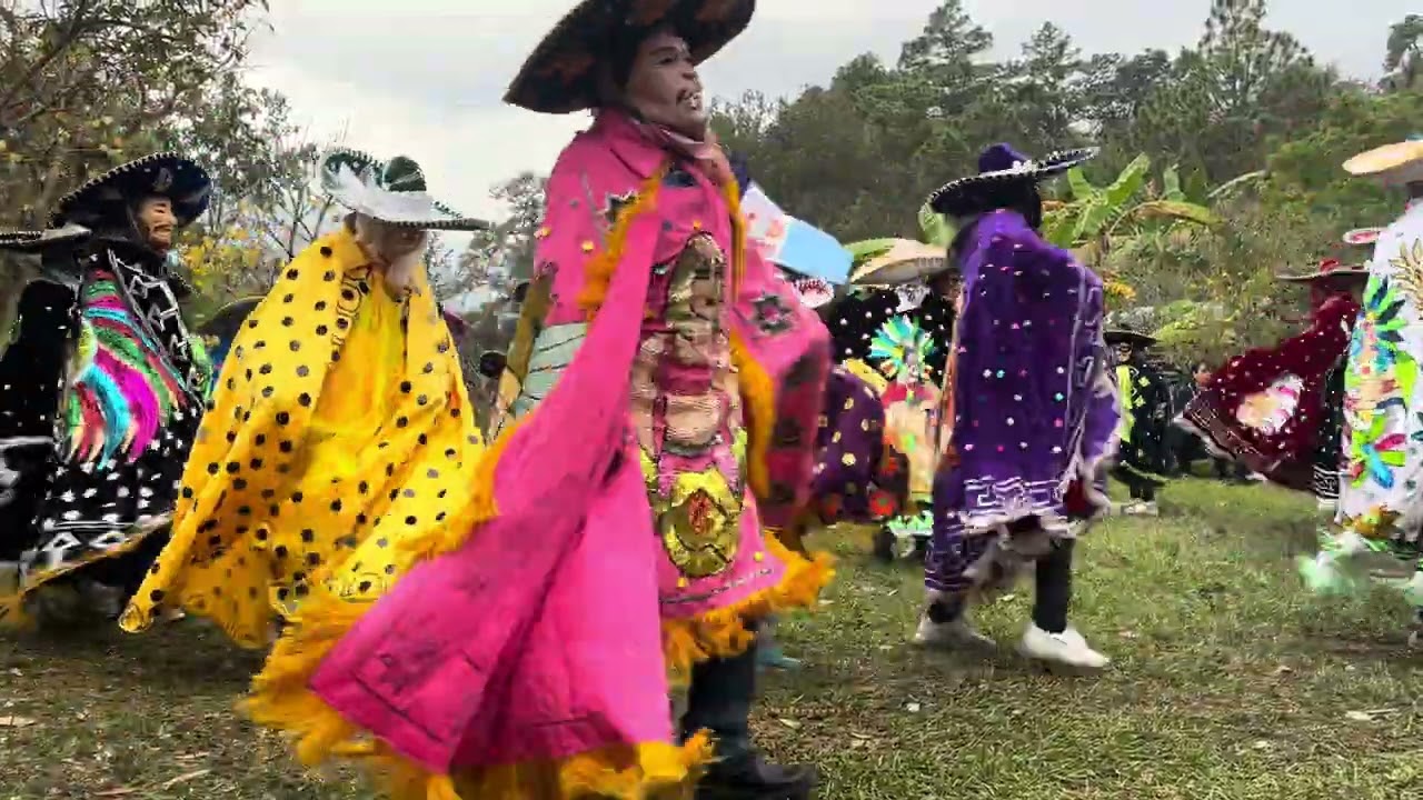 Carnaval camarones 🦐 2026-día domingo 