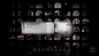 - BOLDENONE (Equipoise) - Binaural Steroids Effect (Improved Protein Synthesis, Nitrogen Retention)
