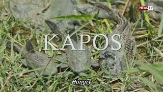 Front Row: Kapos (Full Episode with subtitles)