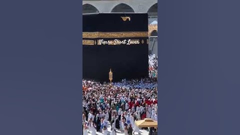 Ya Habibi Ya Muhammad Ya Arusal Khofiqoini Status #short #shorts #status #naat #qawwali #khawajagari