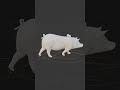 Fantasy Pig with Harness - AI Rigged 3D Character