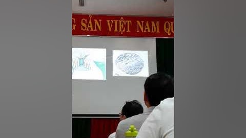 Đại cương mắt