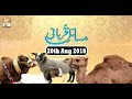 Watch Masail e Qurbani - 20th Aug 2018 - ARY Qtv Online In HD