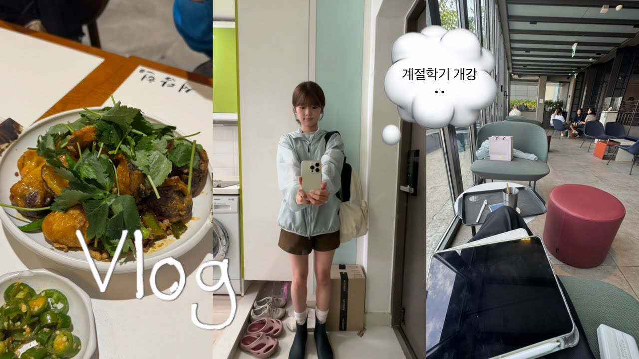 vlog. 알찬 대학 방학에 관하여📚🌱 (곧) 4학년의 여름 방학 브이로그!