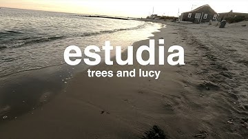[estudia] trees and lucy