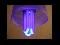 Lampada Luz Negra Neon
