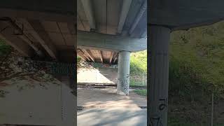 #pod#scari#natura#grafity #pentrutine #2025 #viralvideo #yt #caleferata#fyp