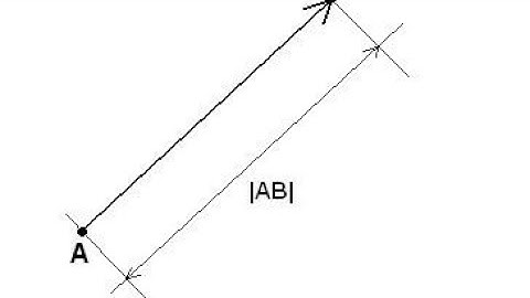 Spazio cartesiano: vettori per due punti; vettori paralleli; versori degli assi coordinati.