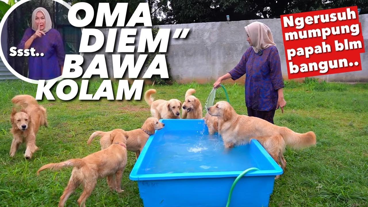 OMA BAWA KOLAM KE RUMAH ANABUL! REAKSI PAPAH GMN?!
