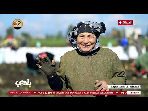 بلدي مالهاش أخوات صبيان بس في حتتها تسوى 100 راجل اتفرح على جمال ستات الريف