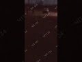 Приемный отец заставил одного ребенка избить другого