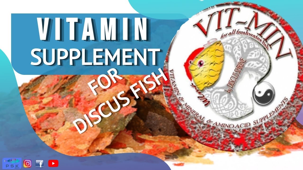 VITMIN SUPPLEMENT FOR DISCUS FISH fish vitamins YouTube