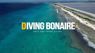 Diving in Bonaire, Klein Bonaire, Shore Diving, The Salt Pier, and the Coral Reef Walls.