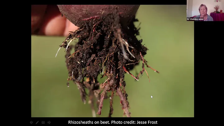 Dr. Christine Jones"The Phosphorus Paradox"
