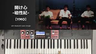 弦楽器 mayu uuu 弦楽器 mayu uuu 弦楽器 mayu uuu バイオリン工房 音屋｜OTOYA