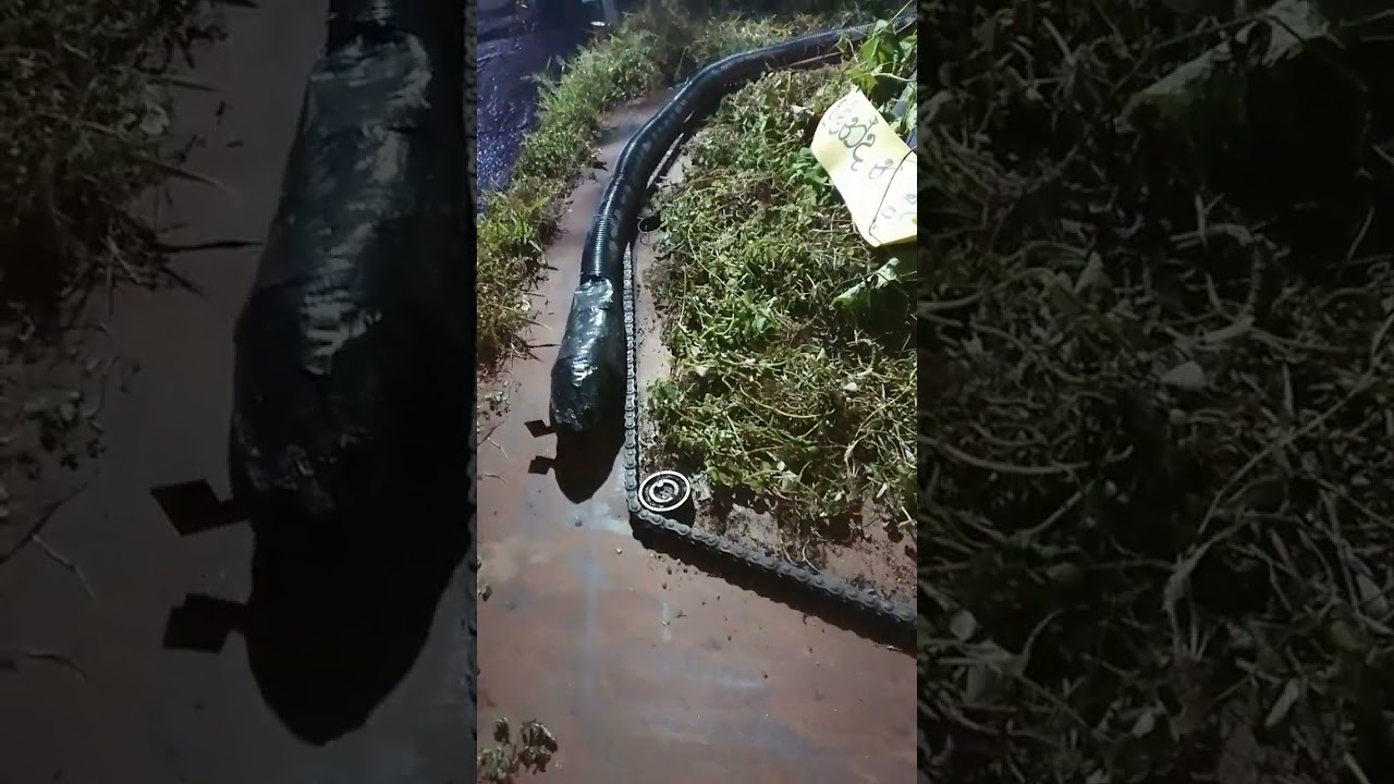 මුචලින්ද නාග දරණය හදන ආකාරය