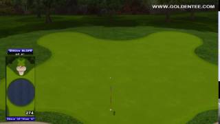 Golden Tee Great Shot on Teal Garden !