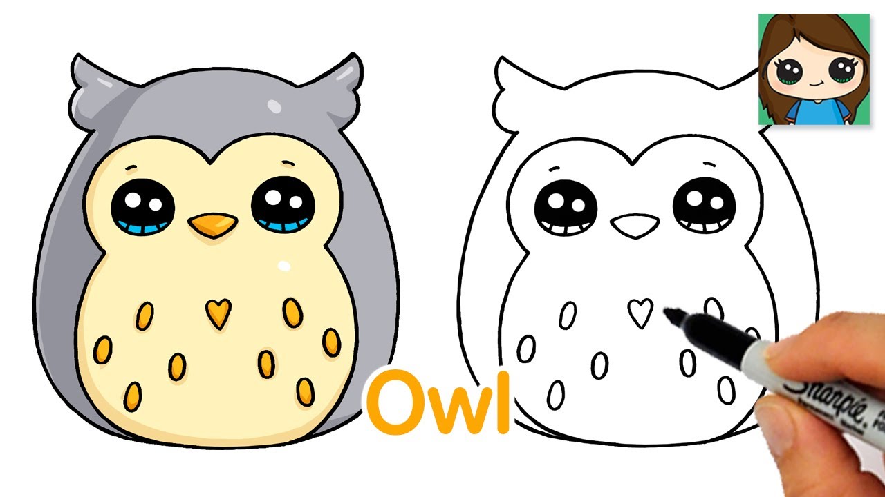How to draw an Owl - YouTube | Cute owl drawing, Owls drawing, Owl drawing  simple